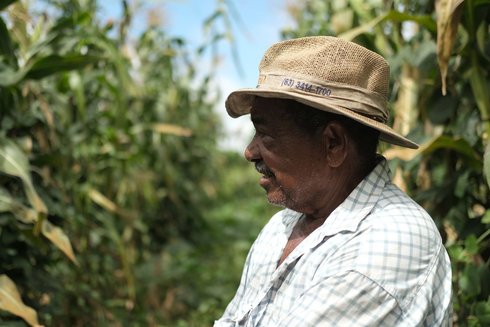 Agricultor da Varzinha dos Quilombolas de chapéu de palha, entre o milharal.
