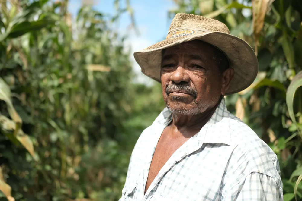 Retrato de agricultor de chapéu de palha diante do milharal.